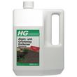 HG Algen- und Grünbelag Entferner Konzentrat 5 Liter