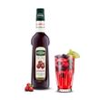 Teisseire Sirup Cranberry 0,7 Liter