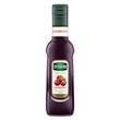 Teisseire Sirup Cranberry 0,25 Liter